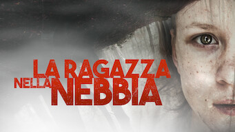 La ragazza nella nebbia (2017)