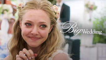 Big Wedding (2013)